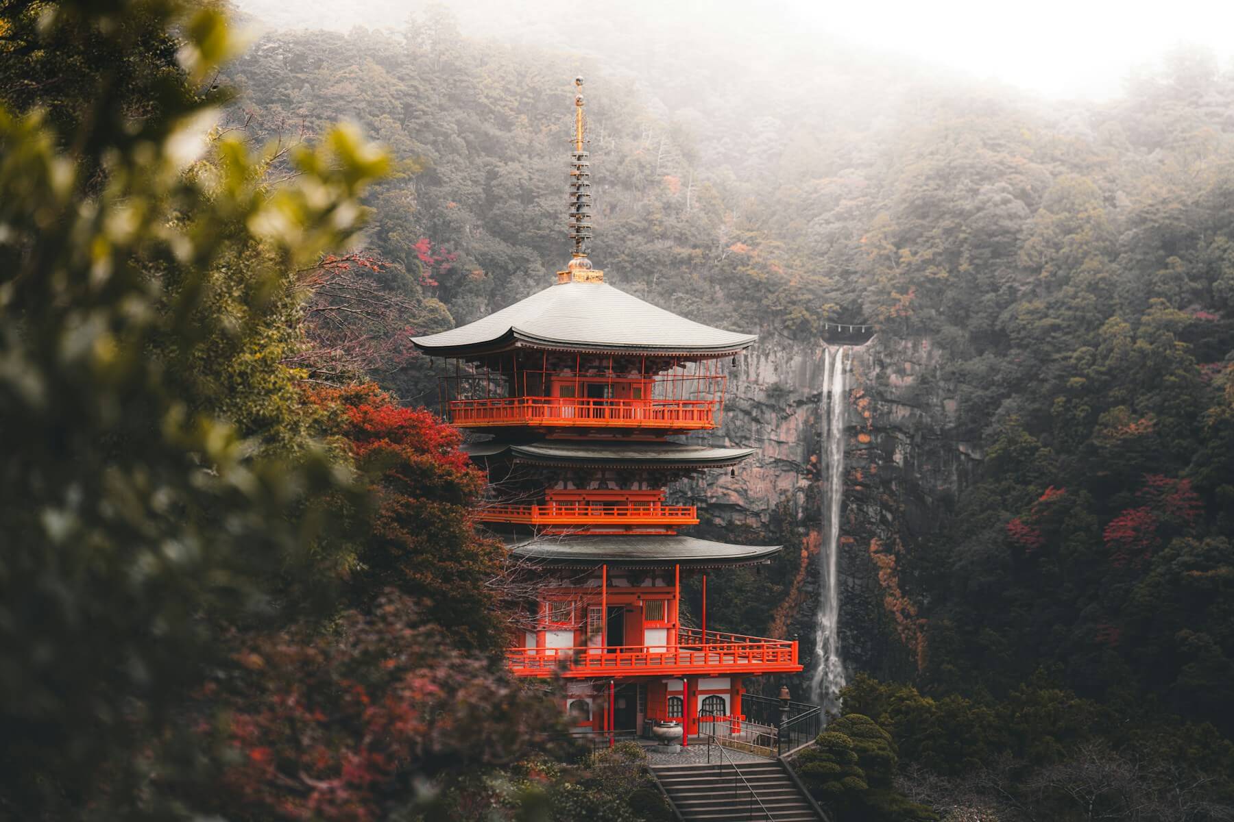 Kyoto autumn foliage, Japan